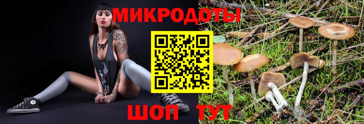 Псилоцибиновые грибы GOLDEN TEACHER Георгиевск