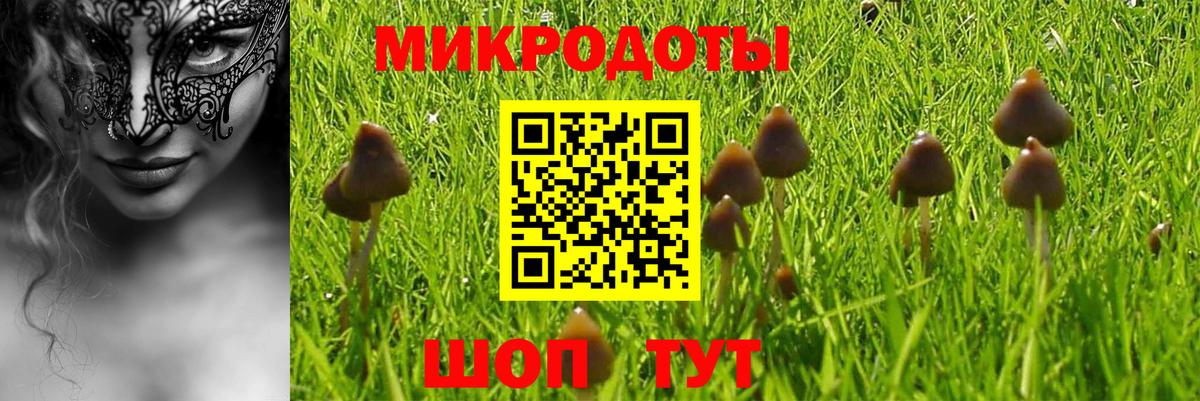Псилоцибиновые грибы Cubensis  Псилоцибиновые грибы MAGIC MUSHROOMS  Георгиевск  Вход с VPN 